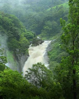 Attukad Waterfalls beside the resort
