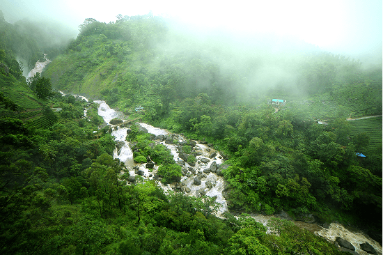 The Muthirapuzha river at the resort