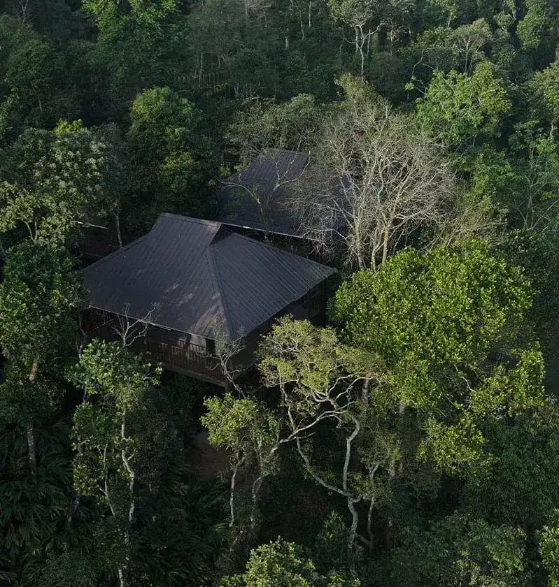 The Blanket Nest treehouse