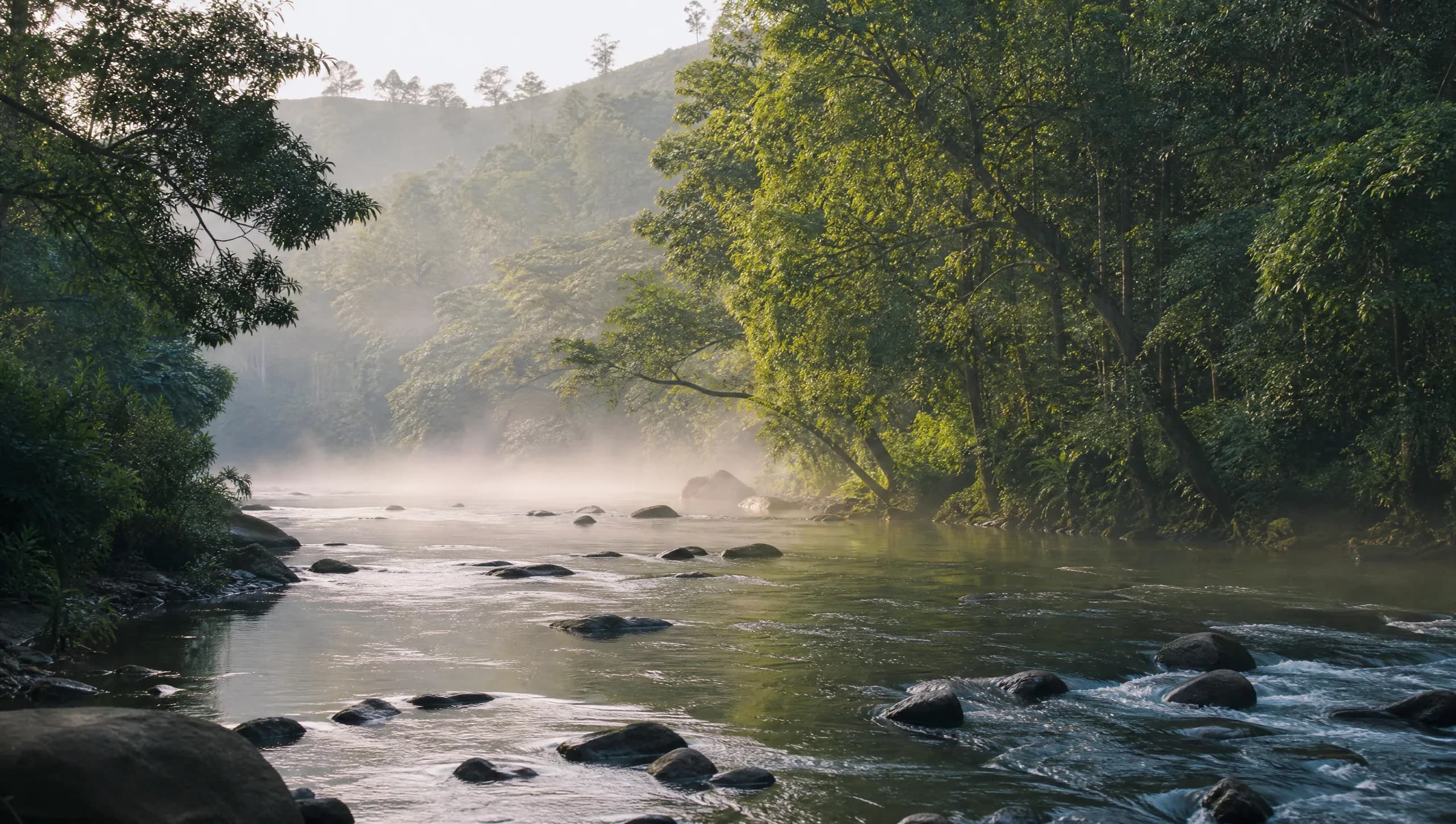 The landscape of Riverside — river, forest, slow living