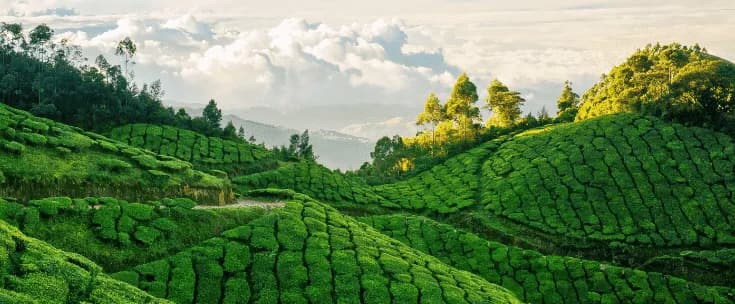 Attukad Village Experience
