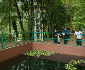 A Line in the Water