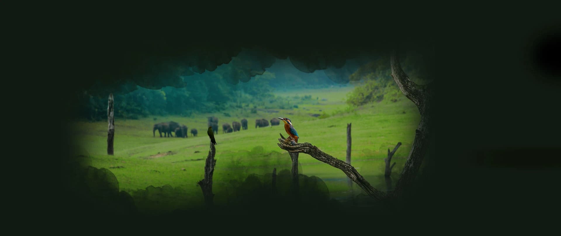 Periyar Wilderness